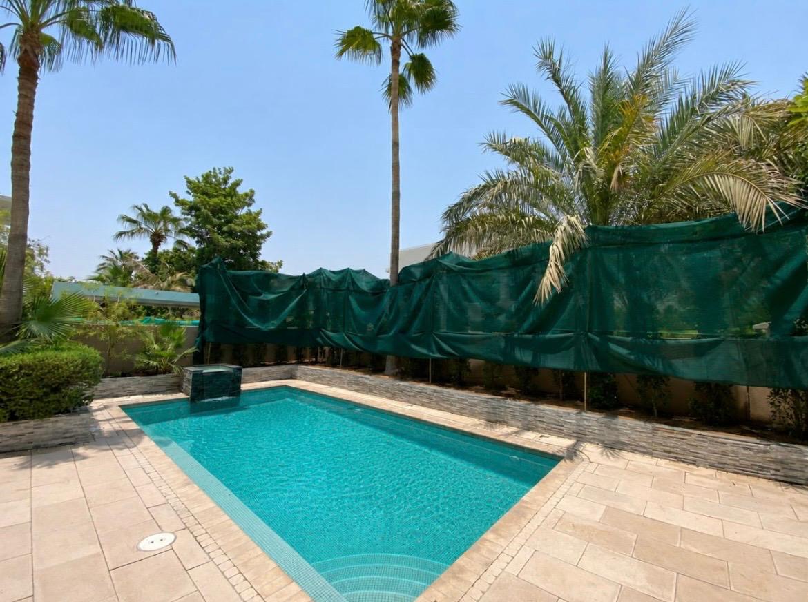 Poolside replanting — after