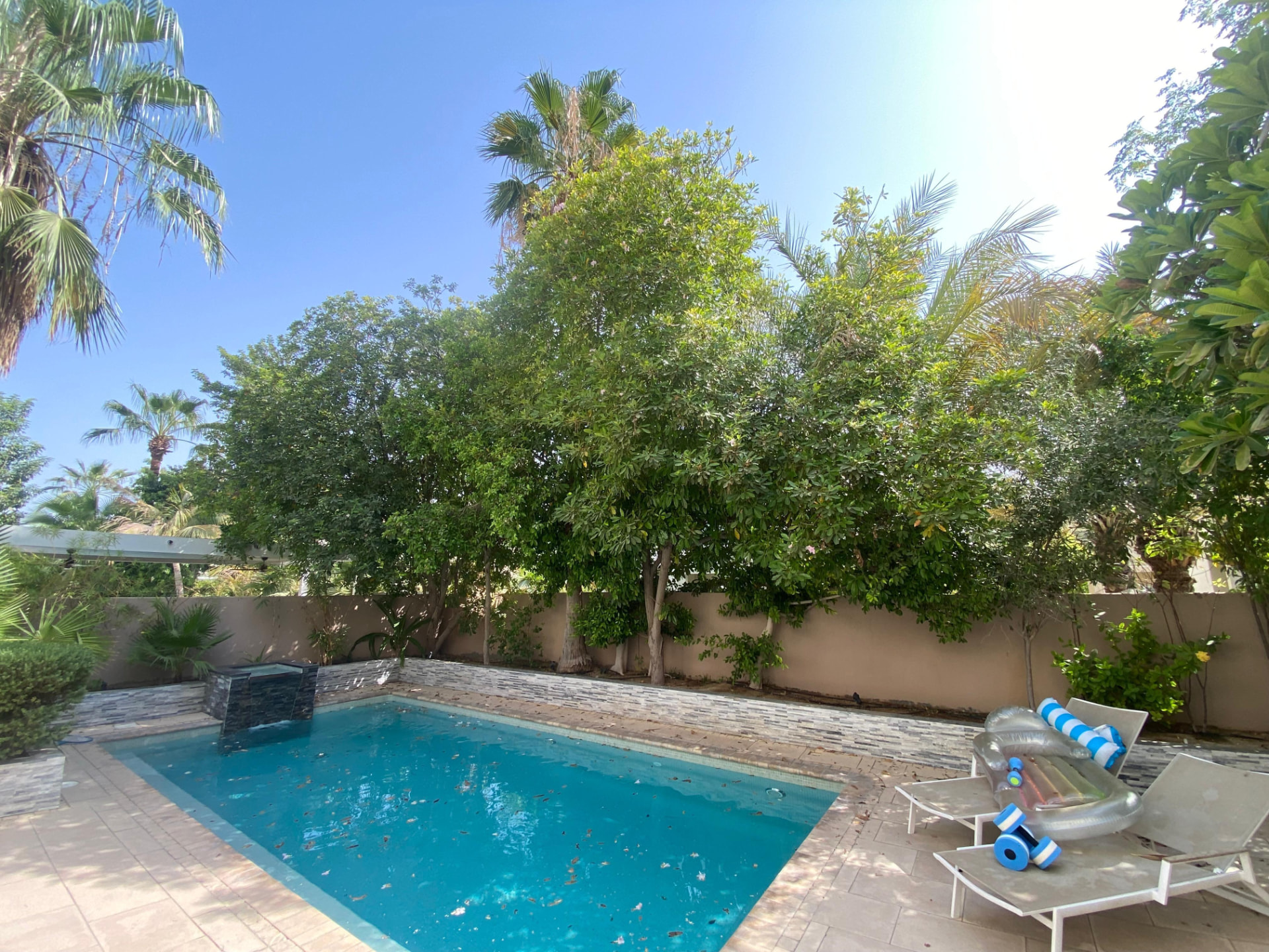 Poolside replanting — before