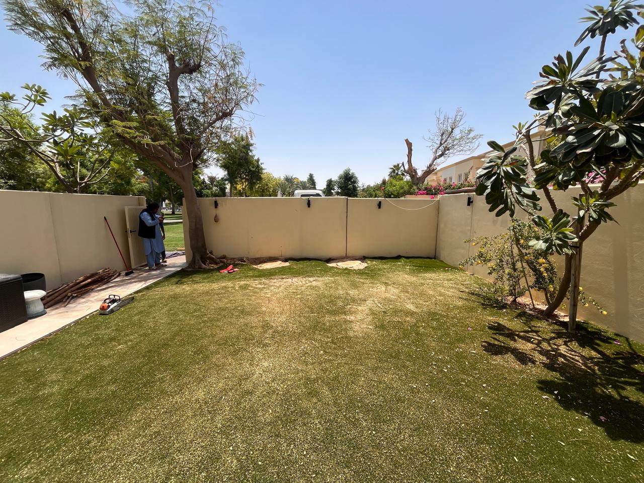 Neem removal, Dubai Villa — after